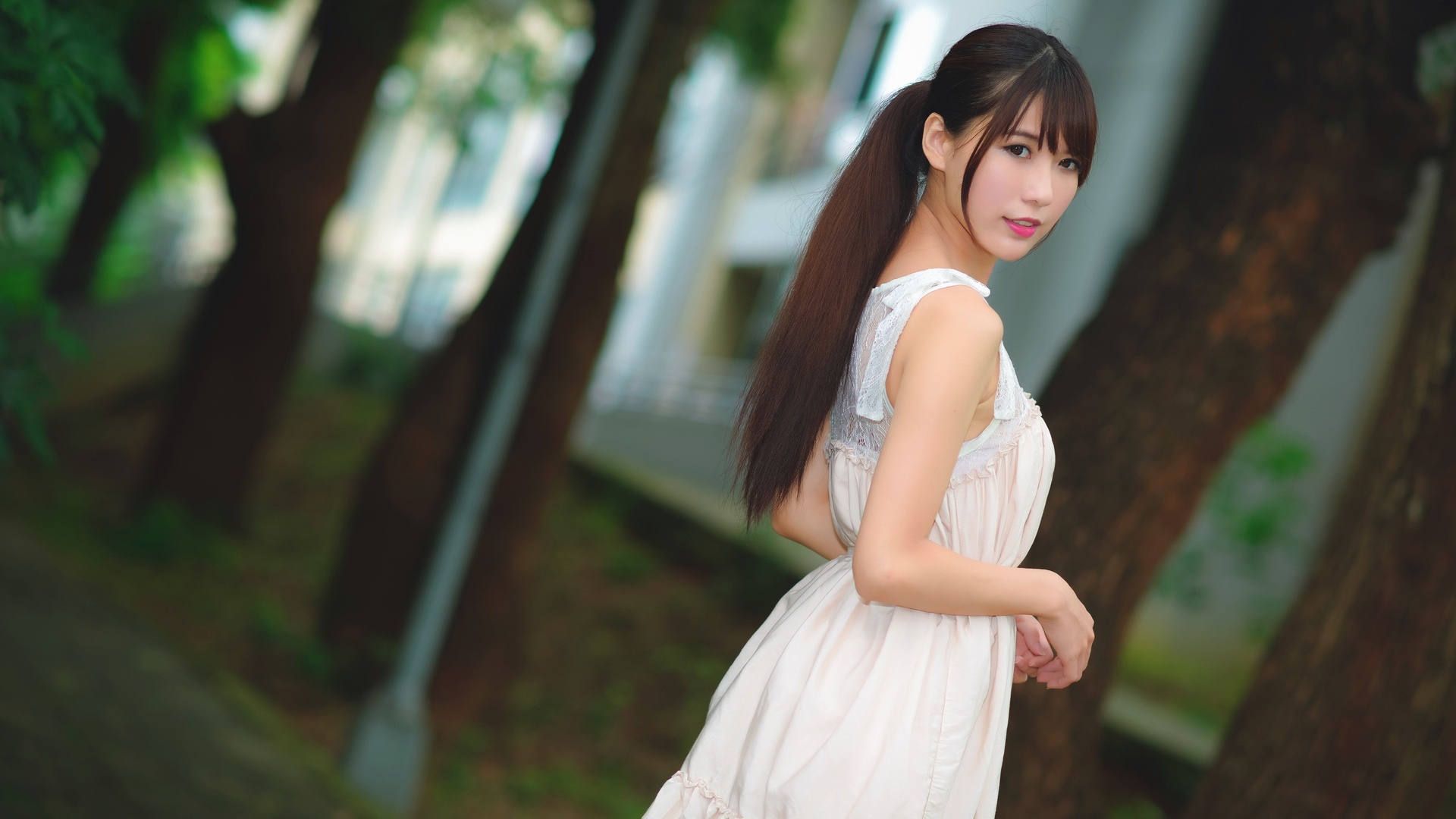 他的幻想经历原版